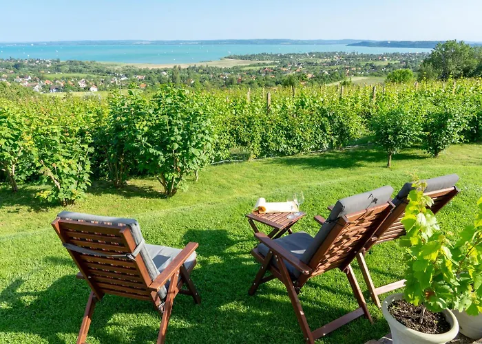 Дом отдыха Unit_type_semidetached_house Siofok 54624